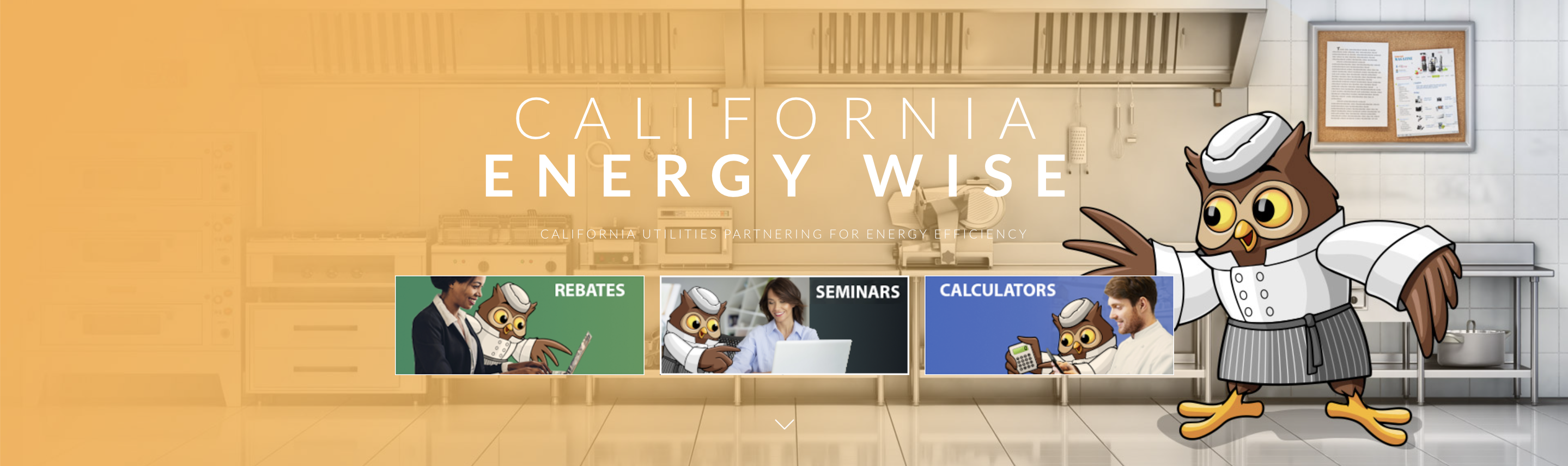 California Energy Wise